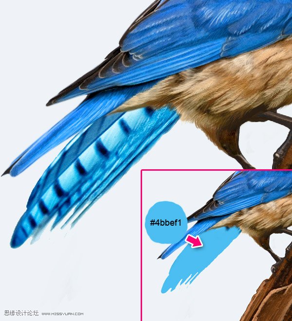 Photoshop合成教程:梦幻的小鸟女孩画像