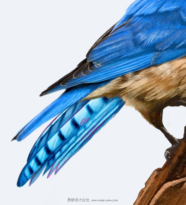 Photoshop合成教程:梦幻的小鸟女孩画像