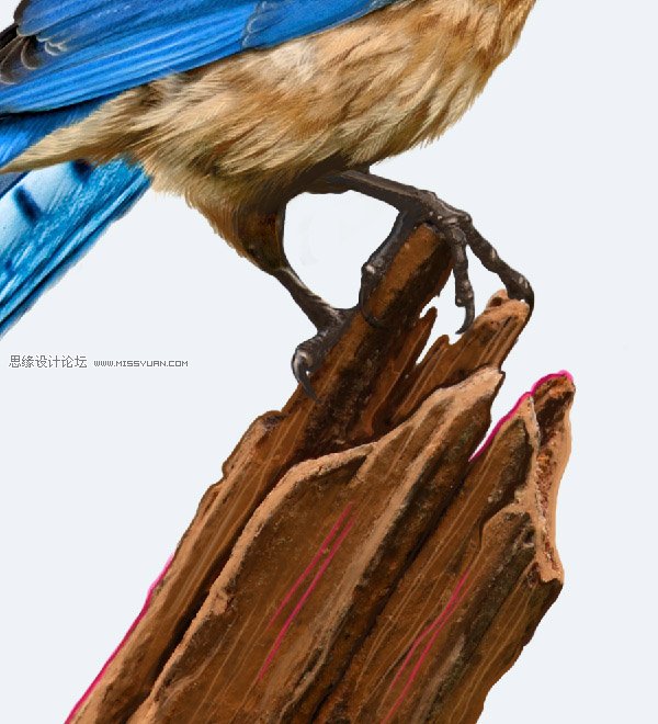 Photoshop合成教程:梦幻的小鸟女孩画像