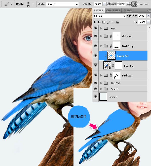 Photoshop合成教程:梦幻的小鸟女孩画像