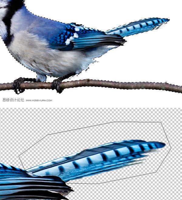 Photoshop合成教程:梦幻的小鸟女孩画像