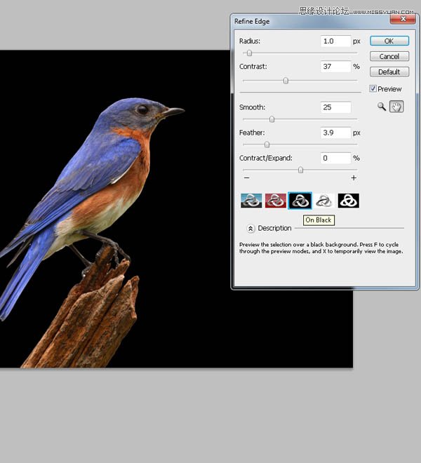 Photoshop合成教程:梦幻的小鸟女孩画像