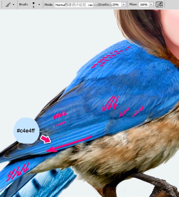 Photoshop合成教程:梦幻的小鸟女孩画像