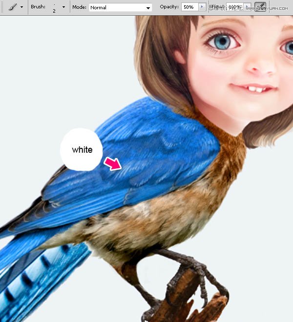 Photoshop合成教程:梦幻的小鸟女孩画像